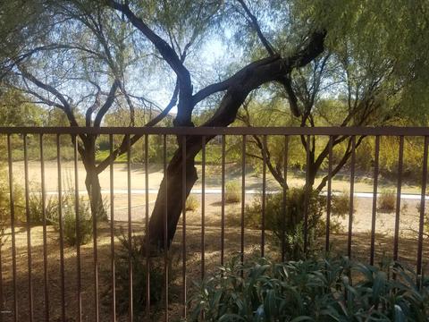 4395 E Marshall Ct, Gilbert, AZ 85297 photo 30