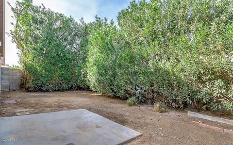 414 E Kerry Ln, Phoenix, AZ 85024 photo 34