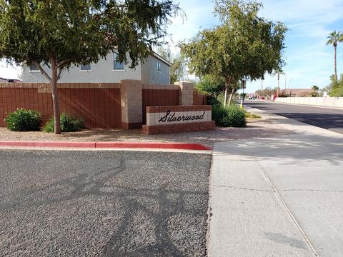 11431 E Flower Ave, Mesa, AZ 85208 photo 30