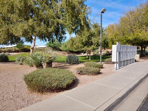 11431 E Flower Ave, Mesa, AZ 85208 photo 31