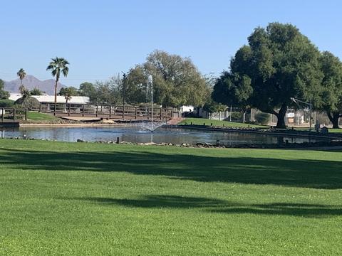 3302 E Beverly Ln, Phoenix, AZ 85032 photo 41