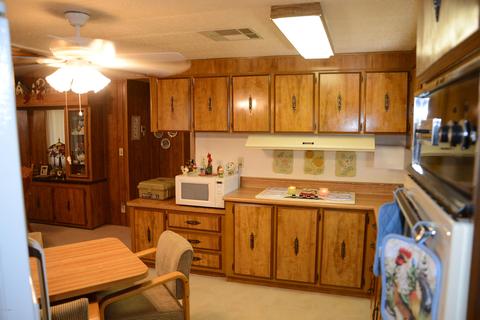 3302 E Beverly Ln, Phoenix, AZ 85032 photo 3