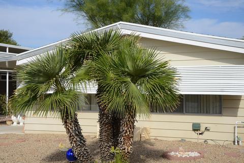 3302 E Beverly Ln, Phoenix, AZ 85032 photo 28