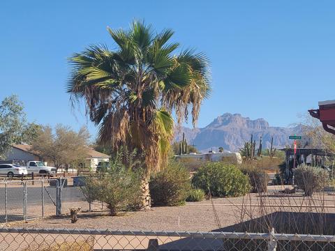 11409 E 6th Ave, Apache Junction, AZ 85120 photo 2