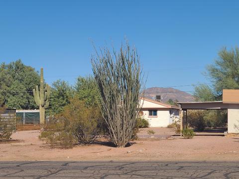 11409 E 6th Ave, Apache Junction, AZ 85120 photo 3