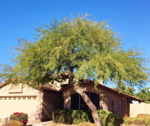 4722 E Jaeger Rd, Phoenix, AZ 85050 photo 35