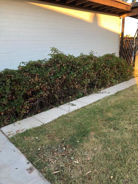 2357 Evergreen St, Mesa, AZ 85213 photo 46