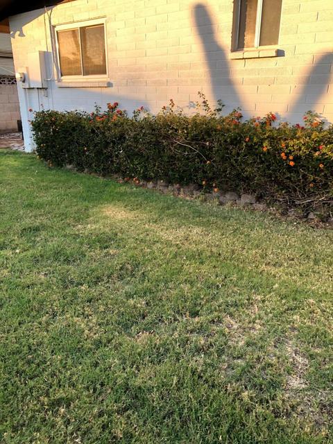 2357 Evergreen St, Mesa, AZ 85213 photo 41