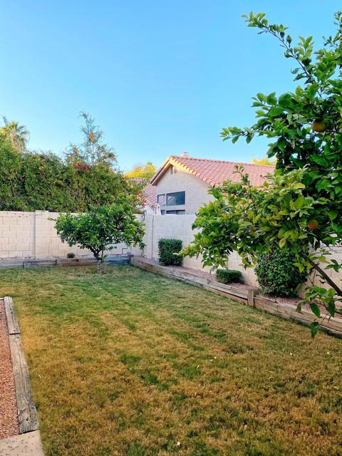 32 E Greentree Dr, Tempe, AZ 85284 photo 32