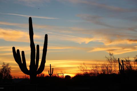 2477 W Frontier St, Apache Junction, AZ 85120 photo 15