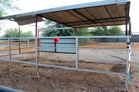 2477 W Frontier St, Apache Junction, AZ 85120 photo 11