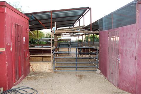 2477 W Frontier St, Apache Junction, AZ 85120 photo 9