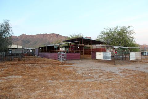 2477 W Frontier St, Apache Junction, AZ 85120 photo 13