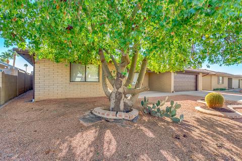 8323 E Lobo Ave, Mesa, AZ 85209 photo 21