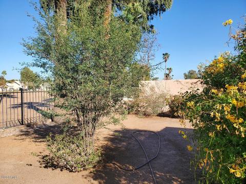 144 W Thunderbird Rd, Phoenix, AZ 85023 photo 34