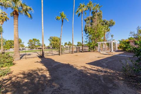 144 W Thunderbird Rd, Phoenix, AZ 85023 photo 39