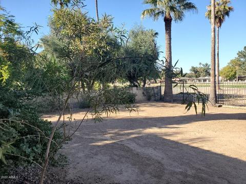 144 W Thunderbird Rd, Phoenix, AZ 85023 photo 24