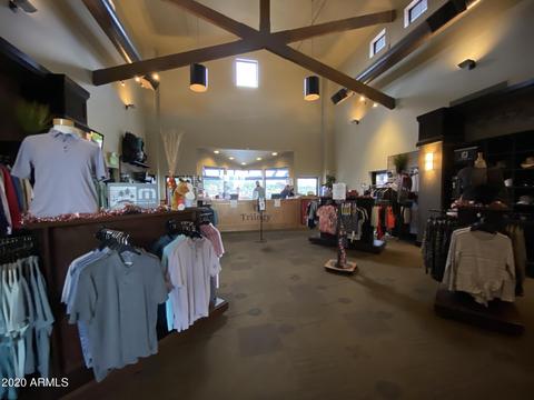 4758 E Narrowleaf Dr, Gilbert, AZ 85298 photo 71