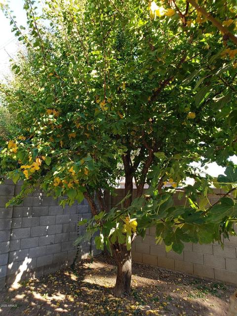 8427 N 17th Ave, Phoenix, AZ 85021 photo 39