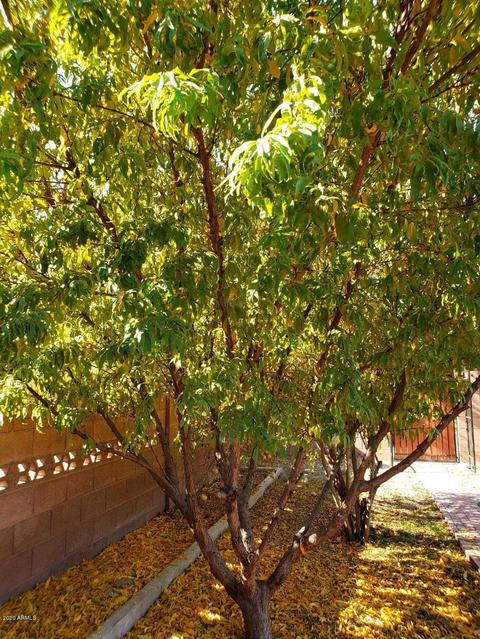 8427 N 17th Ave, Phoenix, AZ 85021 photo 46