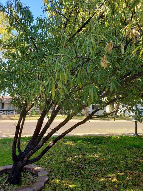 8427 N 17th Ave, Phoenix, AZ 85021 photo 35