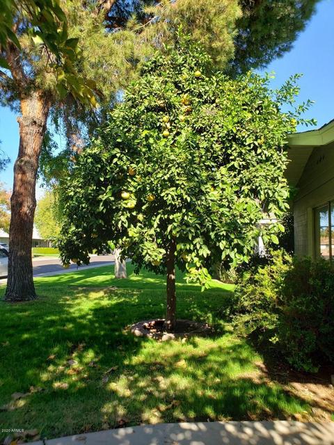 8427 N 17th Ave, Phoenix, AZ 85021 photo 36