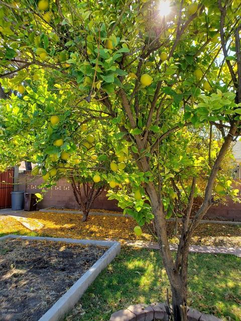 8427 N 17th Ave, Phoenix, AZ 85021 photo 44