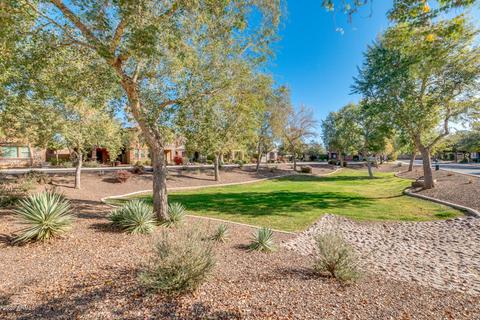 4387 E Selena Dr, Phoenix, AZ 85050 photo 6
