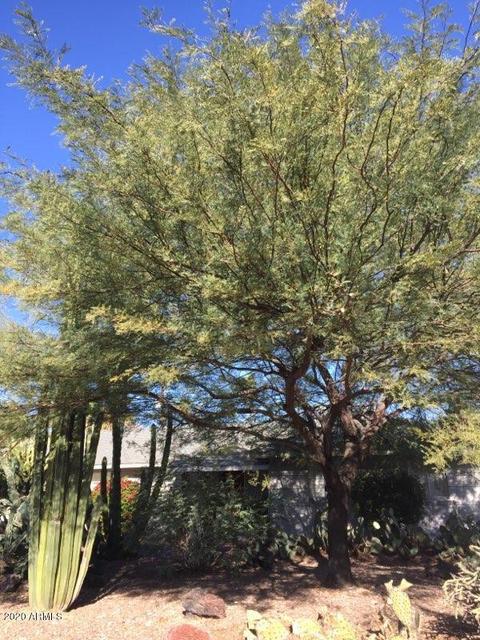 3222 E Oregon Ave, Phoenix, AZ 85018 photo 3
