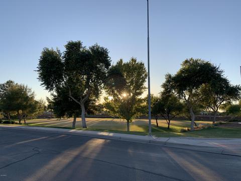 10857 E Starkey Ave, Mesa, AZ 85212 photo 25