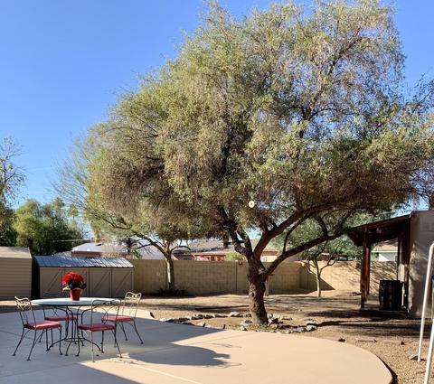 3522 E Sutton Dr, Phoenix, AZ 85032 photo 31