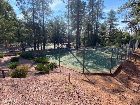 6227 W Pinon Loop, Pine, AZ 85544 photo 27