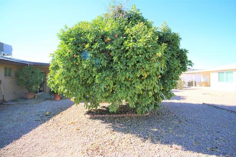 5130 E Forge Cir, Mesa, AZ 85206 photo 29