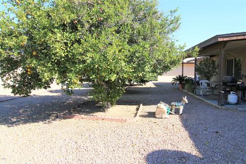 5130 E Forge Cir, Mesa, AZ 85206 photo 12