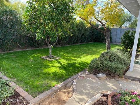 4119 E Windrose Dr, Phoenix, AZ 85032 photo 39
