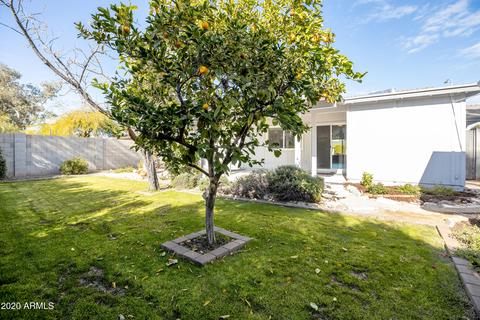 4119 E Windrose Dr, Phoenix, AZ 85032 photo 40