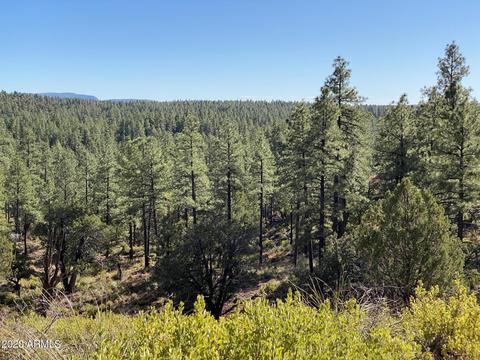 298 S Ranch Ln, Payson, AZ 85541 photo 67
