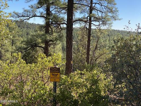 298 S Ranch Ln, Payson, AZ 85541 photo 13