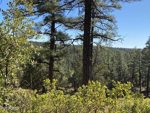 298 S Ranch Ln, Payson, AZ 85541 photo 75