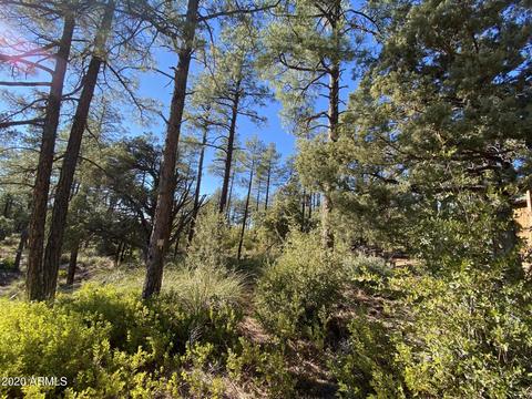 298 S Ranch Ln, Payson, AZ 85541 photo 70