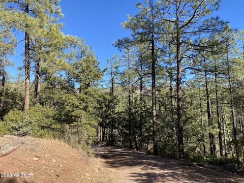 298 S Ranch Ln, Payson, AZ 85541 photo 60