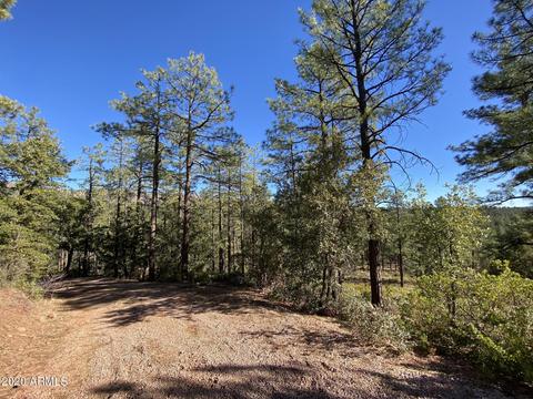 298 S Ranch Ln, Payson, AZ 85541 photo 61