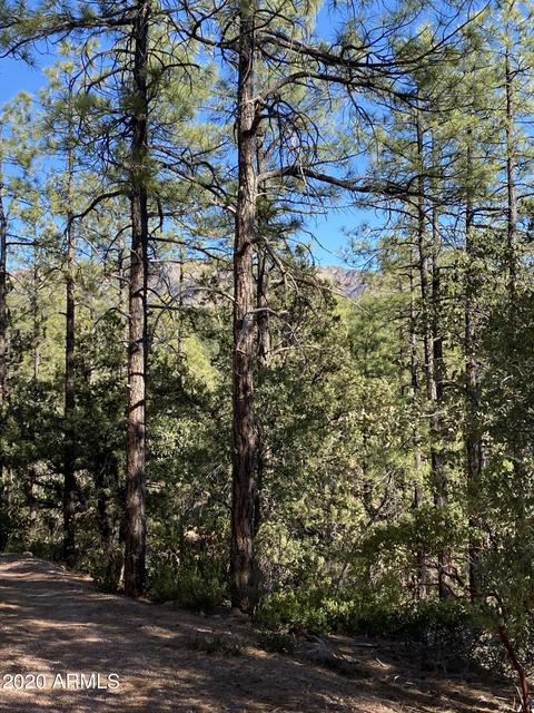 298 S Ranch Ln, Payson, AZ 85541 photo 74