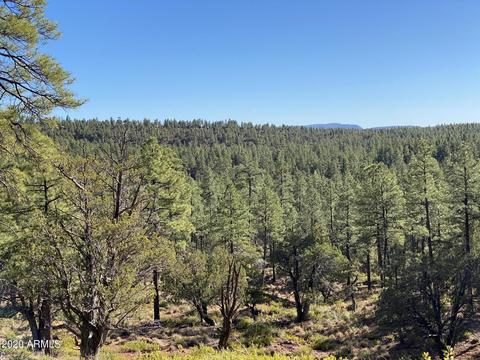 298 S Ranch Ln, Payson, AZ 85541 photo 68