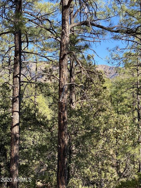 298 S Ranch Ln, Payson, AZ 85541 photo 72