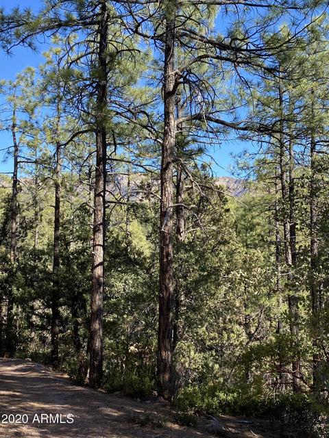 298 S Ranch Ln, Payson, AZ 85541 photo 73