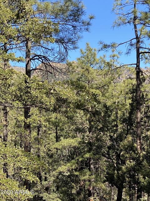298 S Ranch Ln, Payson, AZ 85541 photo 71