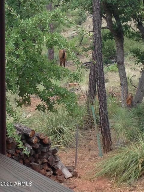 298 S Ranch Ln, Payson, AZ 85541 photo 62
