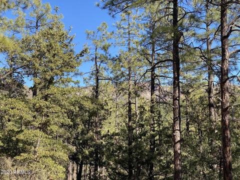 298 S Ranch Ln, Payson, AZ 85541 photo 59
