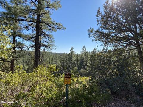 298 S Ranch Ln, Payson, AZ 85541 photo 14